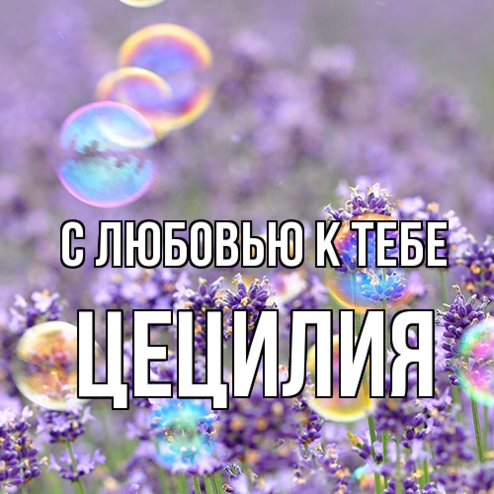 Открытка  с именем. Цецилия, С любовью к тебе  