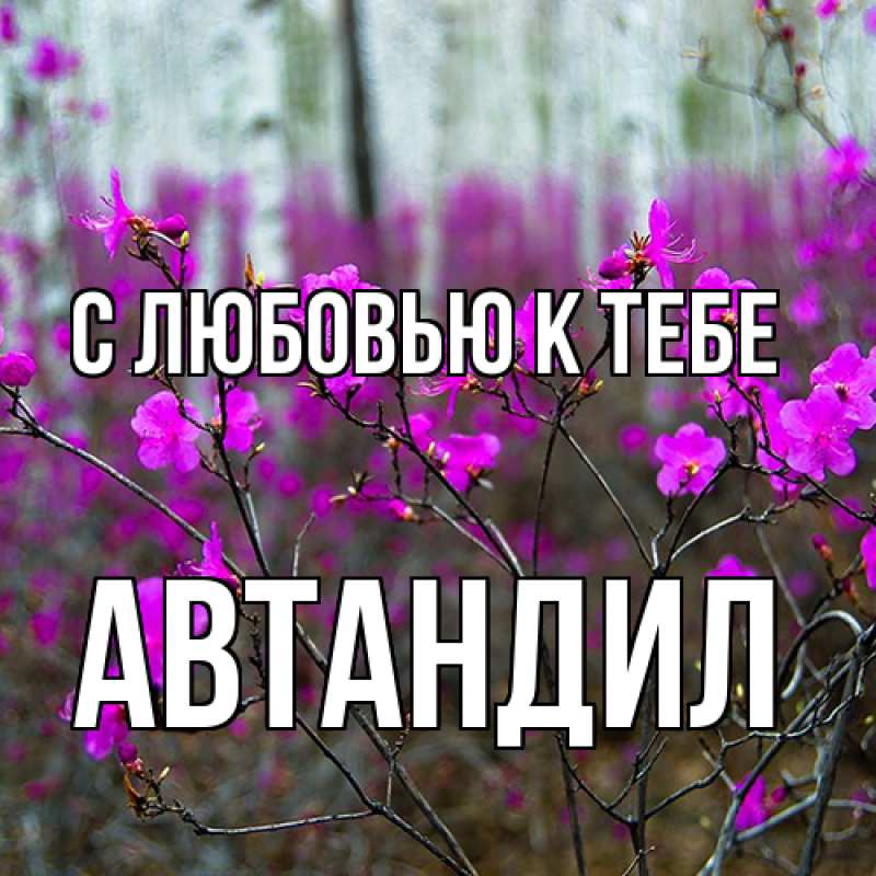 Картинка С любовью к тебе, Автандил