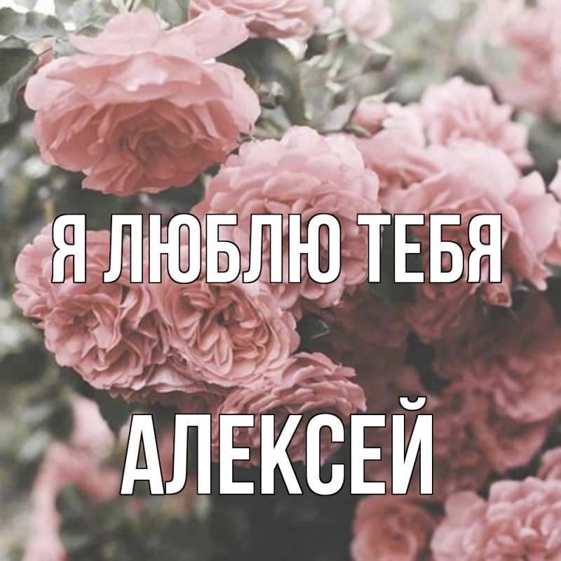 Картинка Я люблю тебя, Алексей