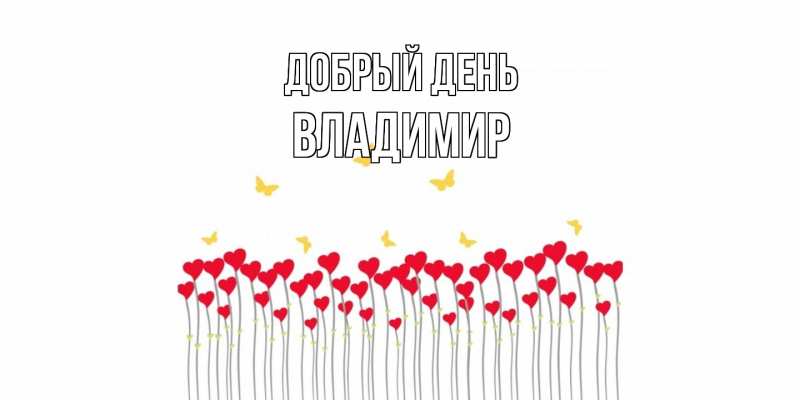 Картинка Добрый день, Владимир