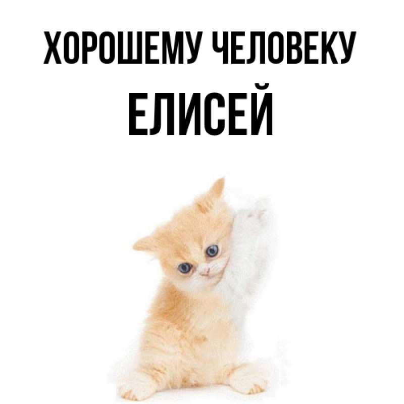 Картинка Хорошему человеку, Елисей