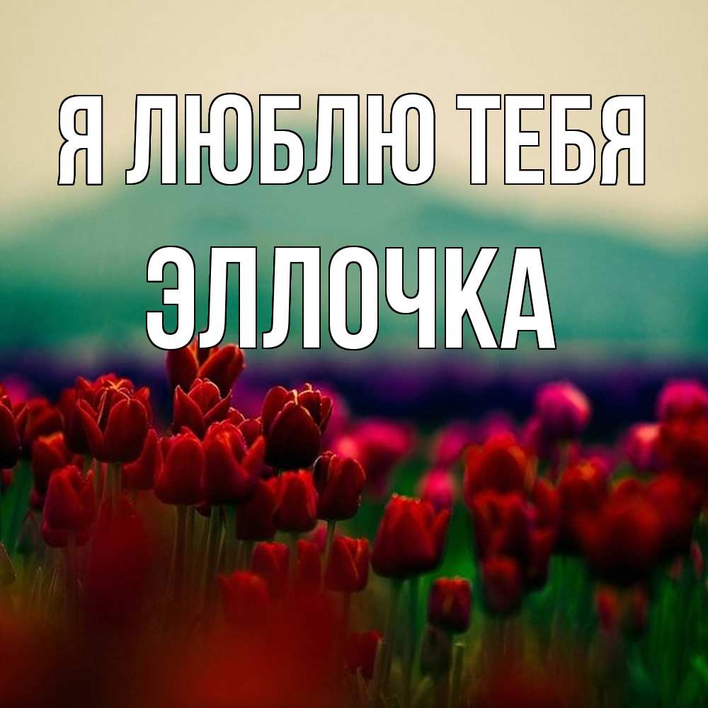 Открытка  с именем. Эллочка, Я люблю тебя  