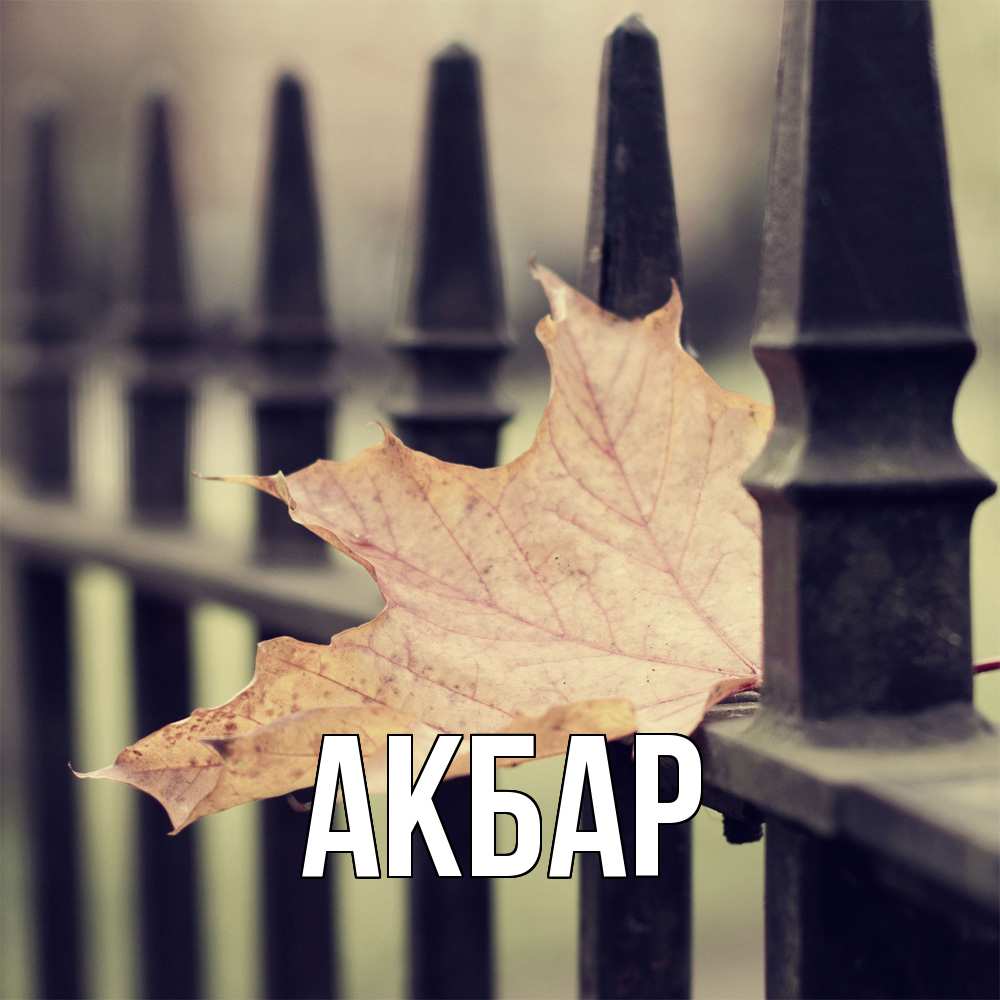 Открытка  с именем. Акбар, Главная  