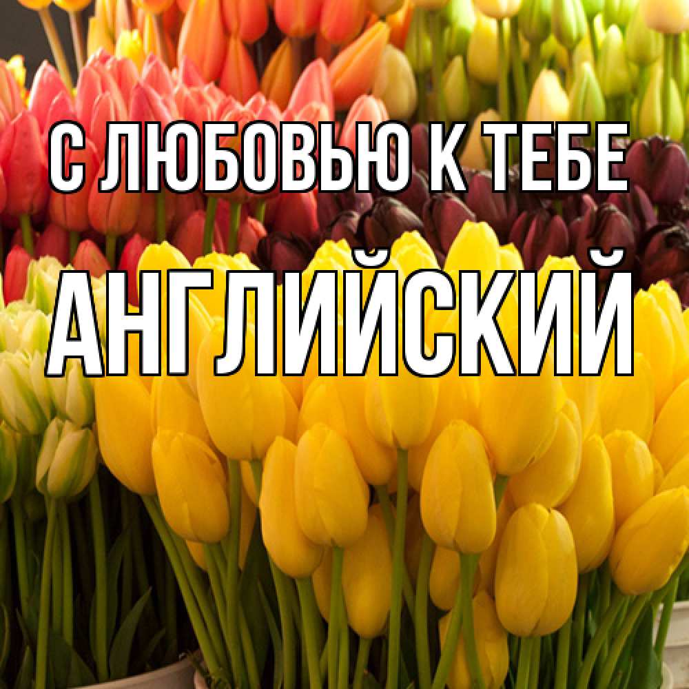 Открытка  с именем. Английский, С любовью к тебе  