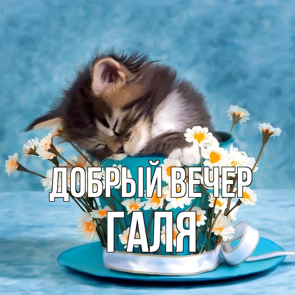 Открытка  с именем. Галя, Добрый вечер  