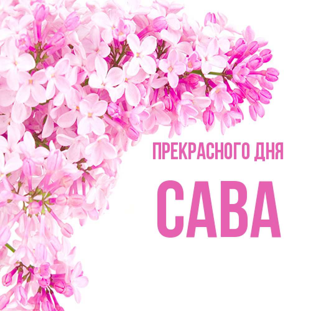 Открытка  с именем. Сава, Прекрасного дня  