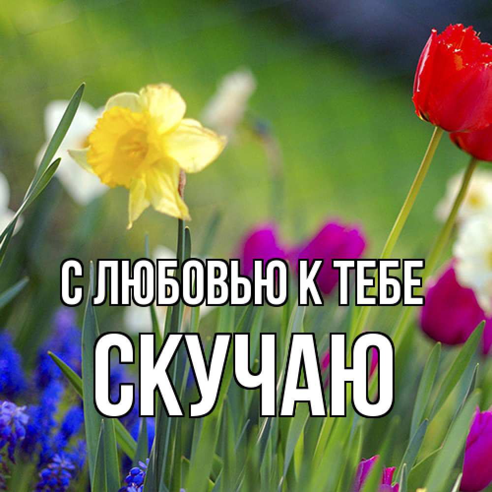 Открытка  с именем. Скучаю, С любовью к тебе  