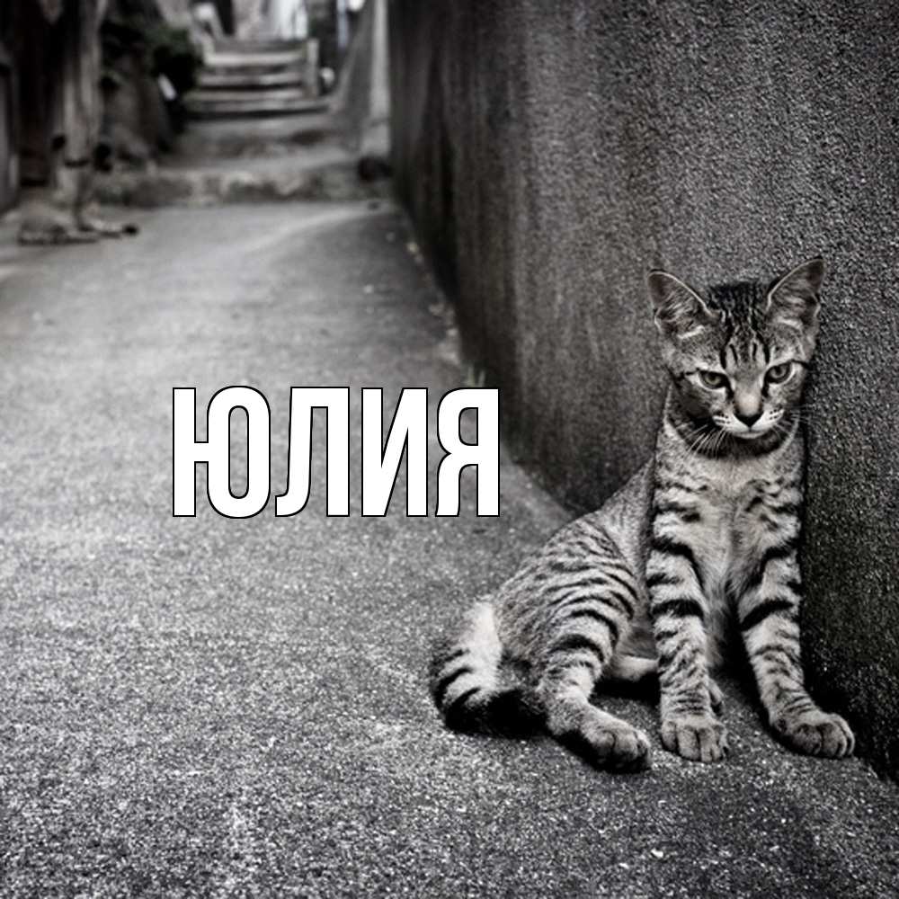 Открытка  с именем. Юлия, Главная  