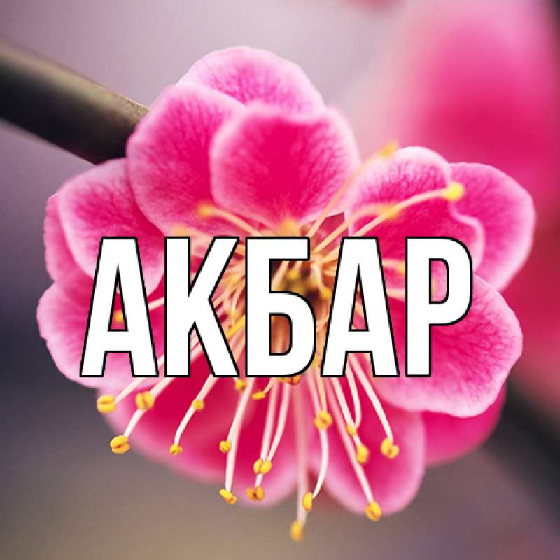 Картинка  с именем , Акбар