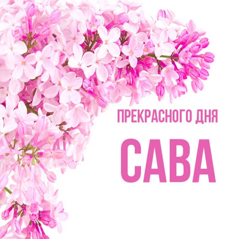 Картинка Прекрасного дня, Сава