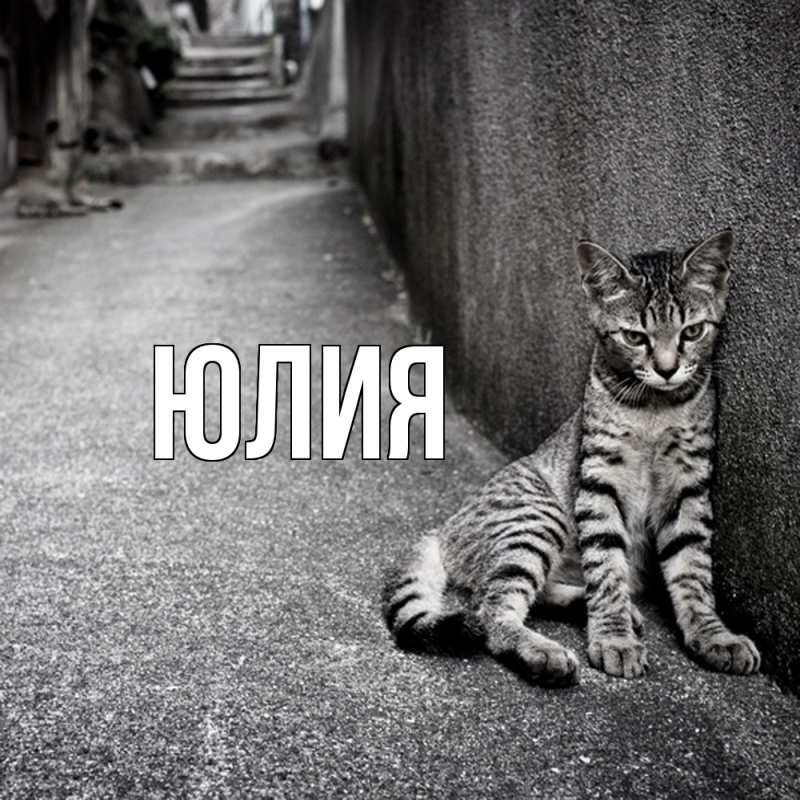Картинка  с именем , Юлия