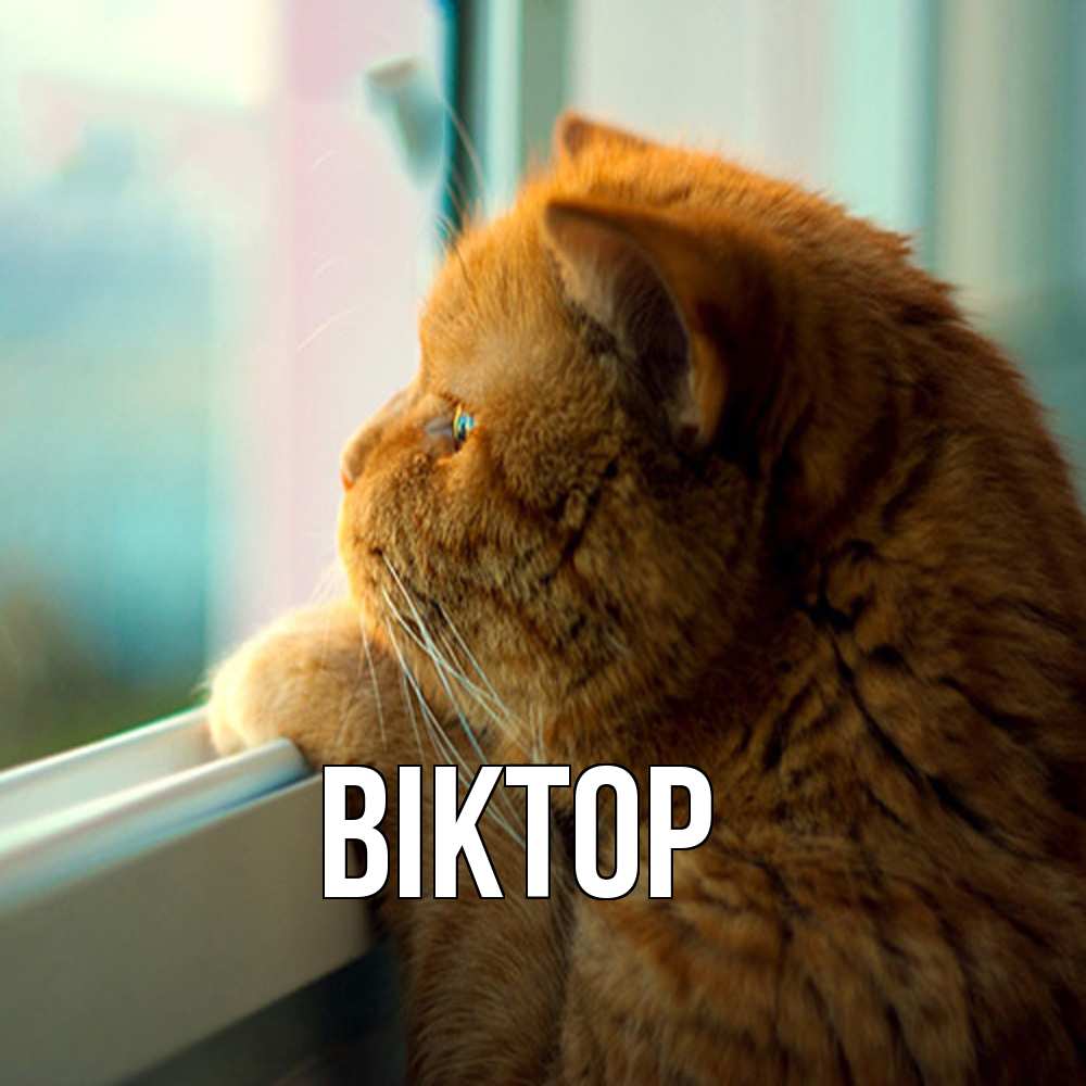 Открытка  с именем. Віктор, Главная  