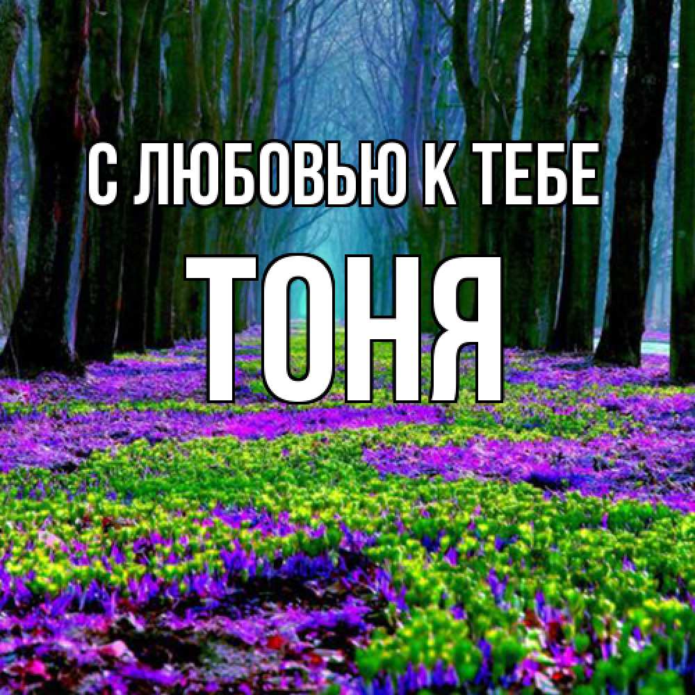 Открытка  с именем. Тоня, С любовью к тебе  