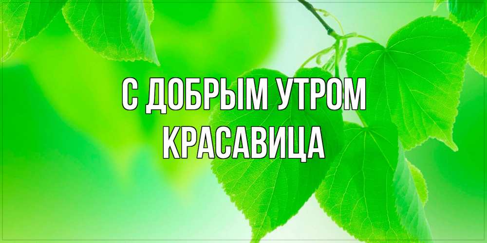 Открытка  с именем. Красавица, С добрым утром  
