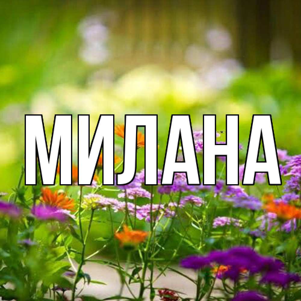 Открытка  с именем. Милана, Главная  