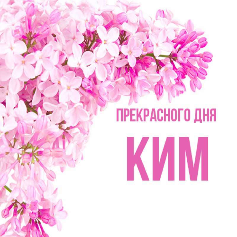 Картинка Прекрасного дня, Ким