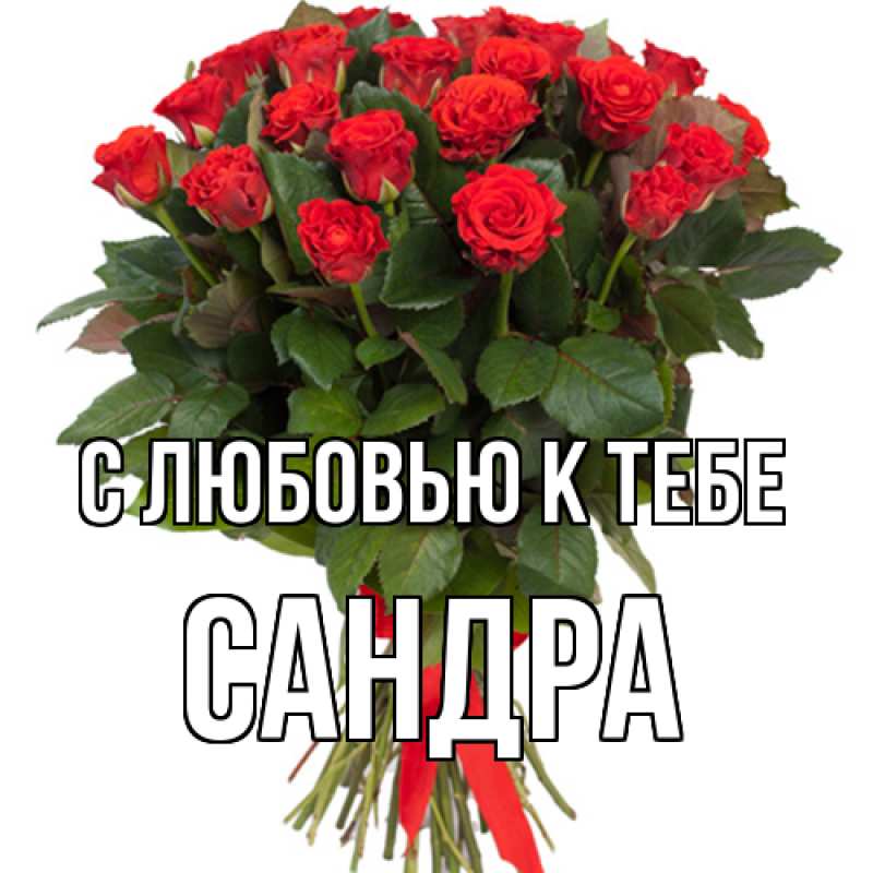 Картинка С любовью к тебе, Сандра