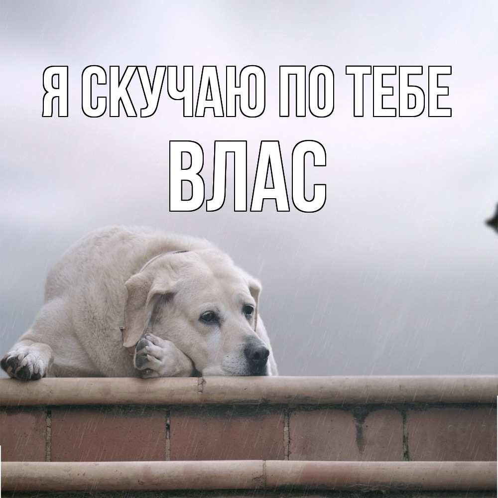 Открытка  с именем. Влас, Я скучаю по тебе  