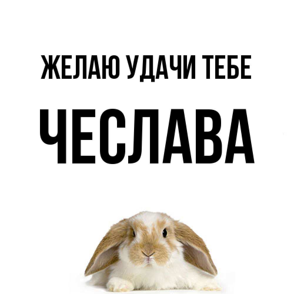 Открытка  с именем. Чеслава, Желаю удачи тебе  