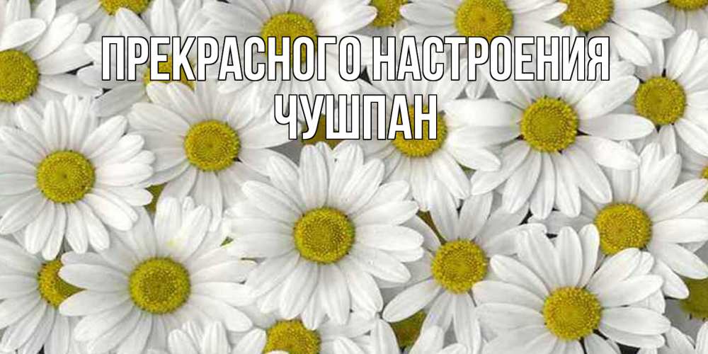 Открытка  с именем. Чушпан, Прекрасного настроения  