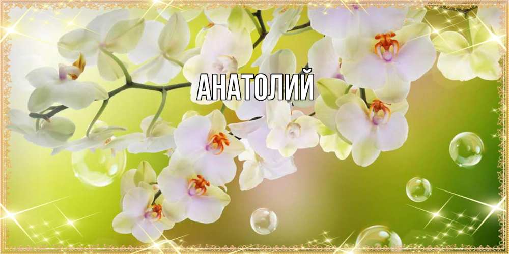 Открытка  с именем. Анатолий, Главная  
