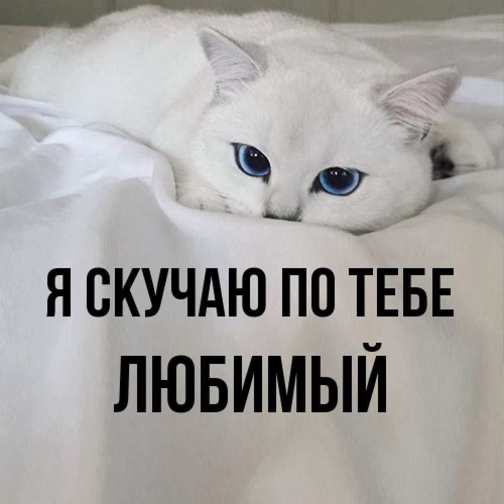 Открытка  с именем. Любимый, Я скучаю по тебе  