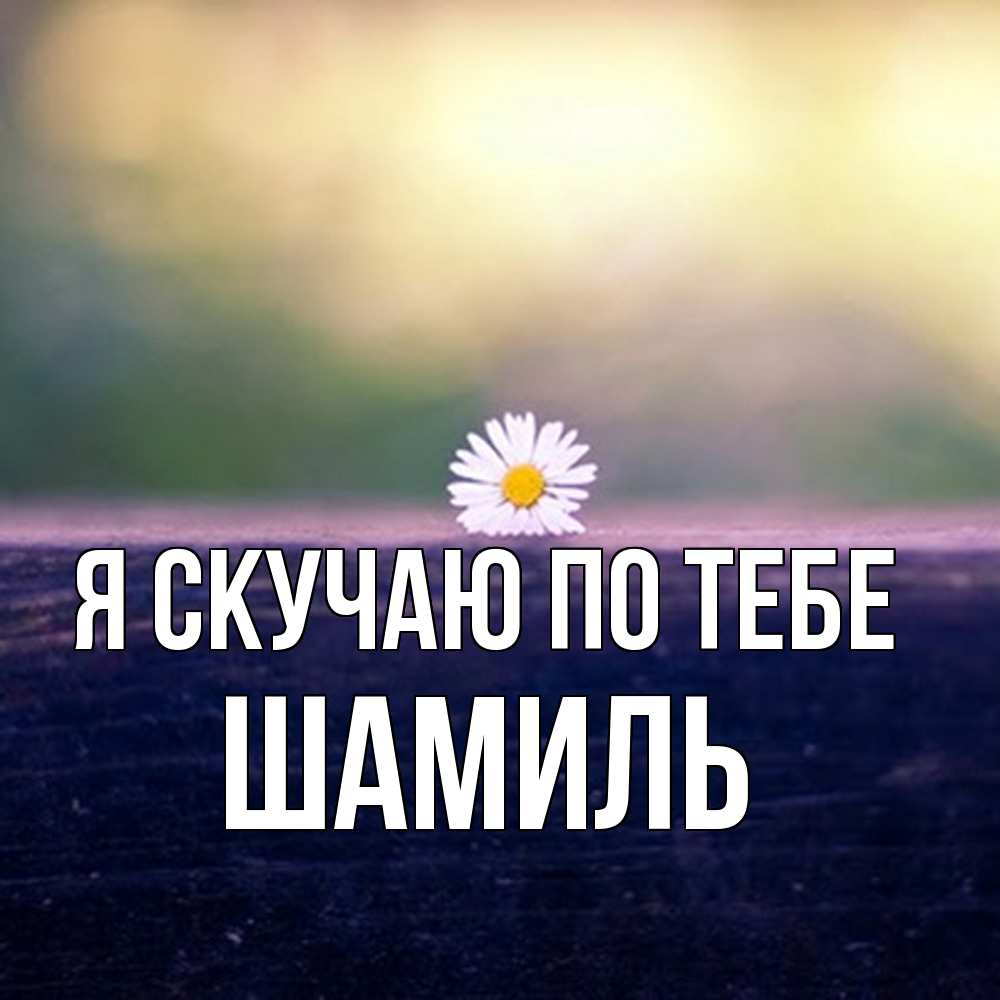 Открытка  с именем. Шамиль, Я скучаю по тебе  