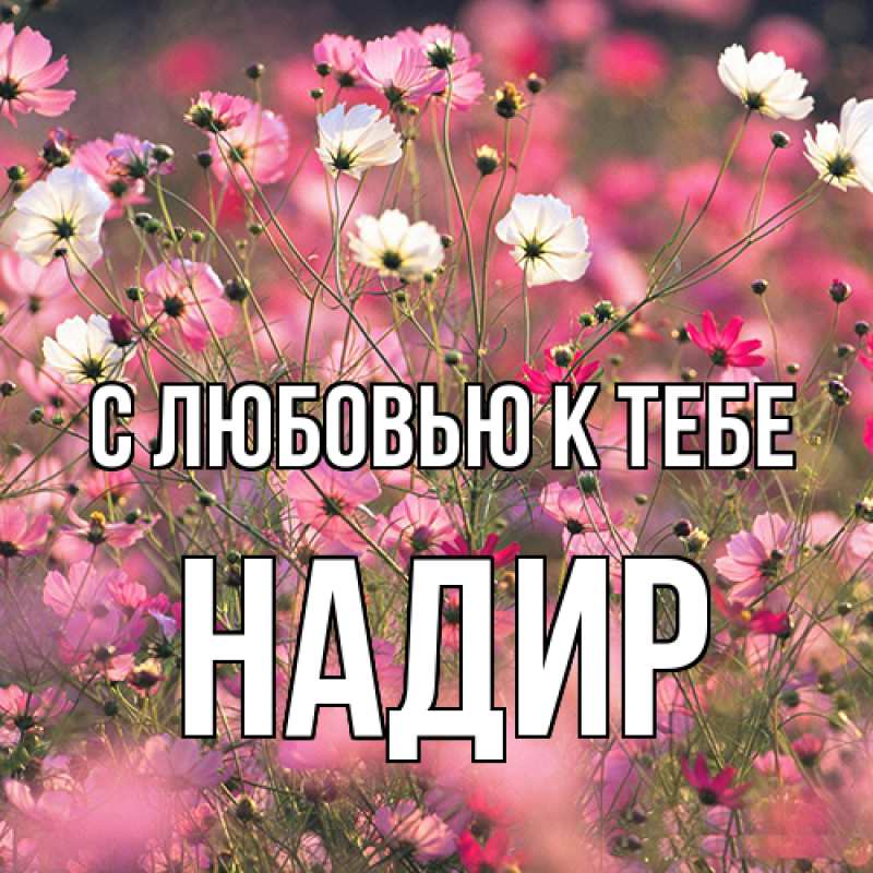Картинка С любовью к тебе, Надир