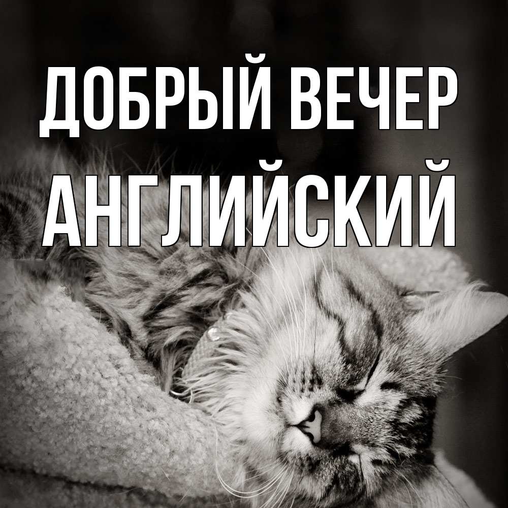 Открытка  с именем. Английский, Добрый вечер  