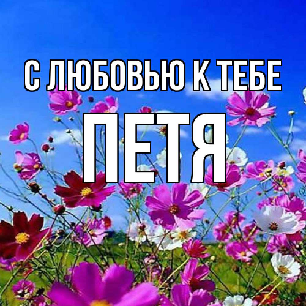 Открытка  с именем. Петя, С любовью к тебе  