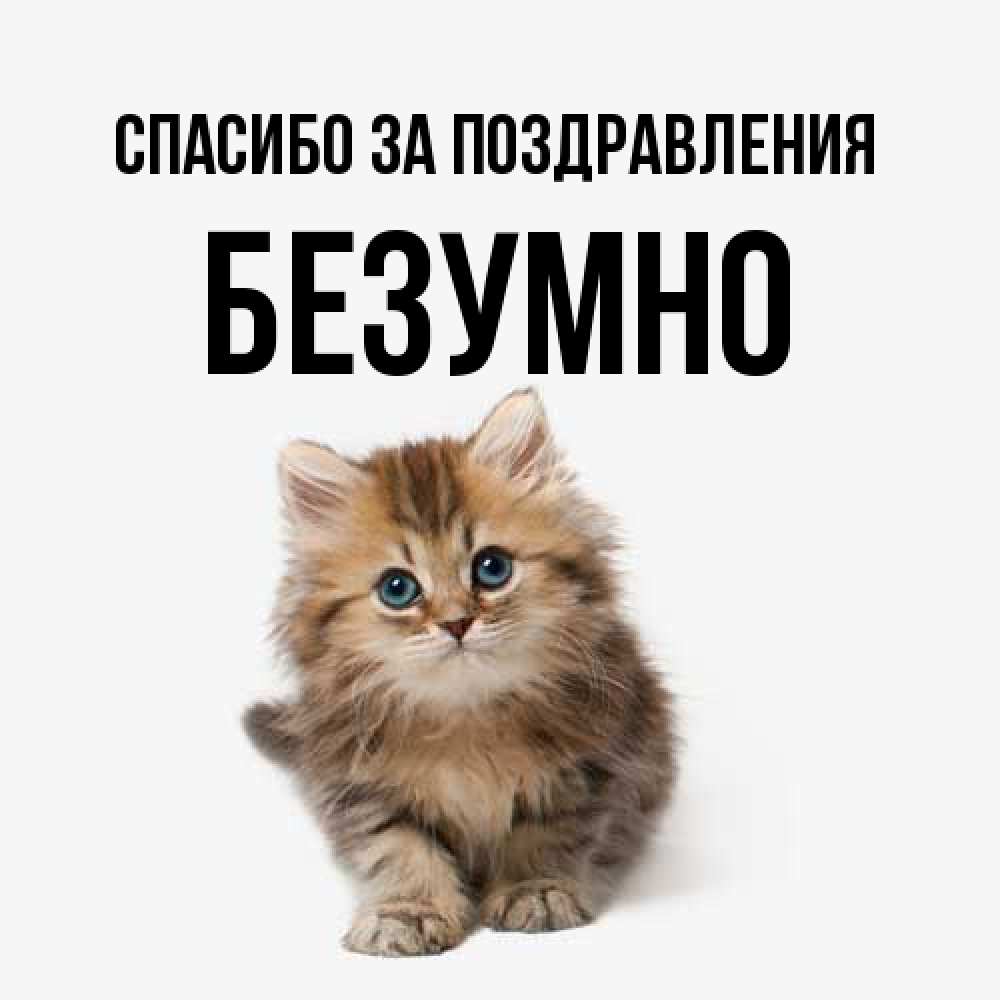 Открытка  с именем. безумно, Спасибо за поздравления  