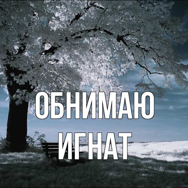 Картинка Обнимаю, Игнат
