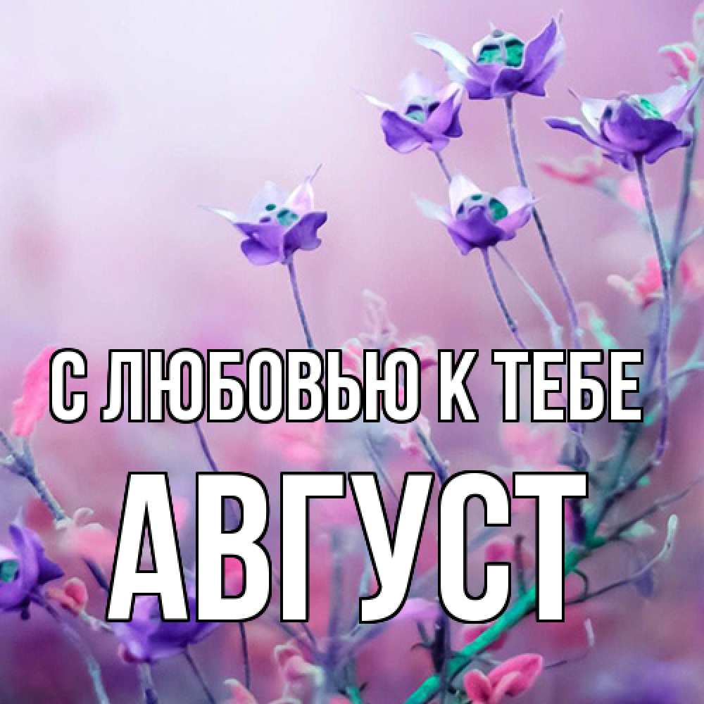 Открытка  с именем. Август, С любовью к тебе  