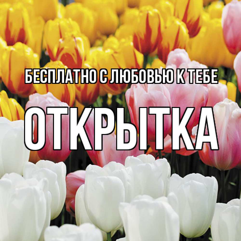 Открытка  с именем. открытка, С любовью к тебе  