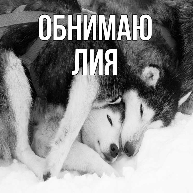 Картинка Обнимаю, Лия