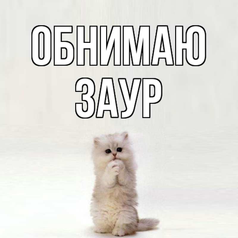 Картинка Обнимаю, Заур