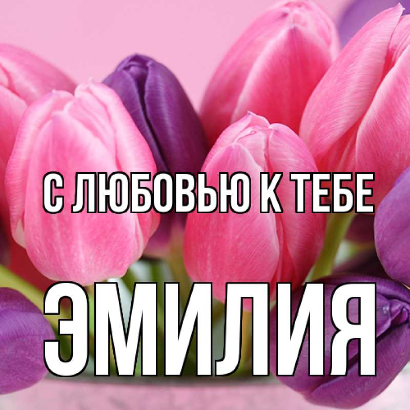 Картинка С любовью к тебе, Эмилия