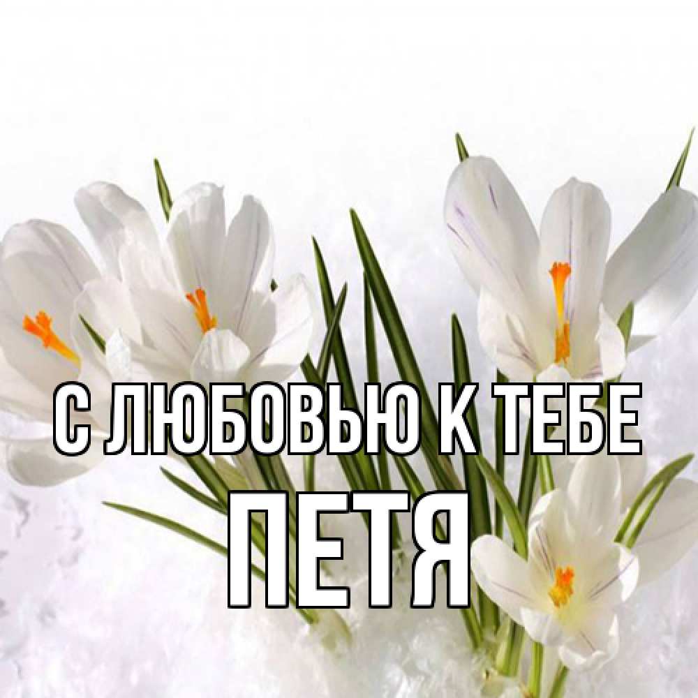 Открытка  с именем. петя, С любовью к тебе  