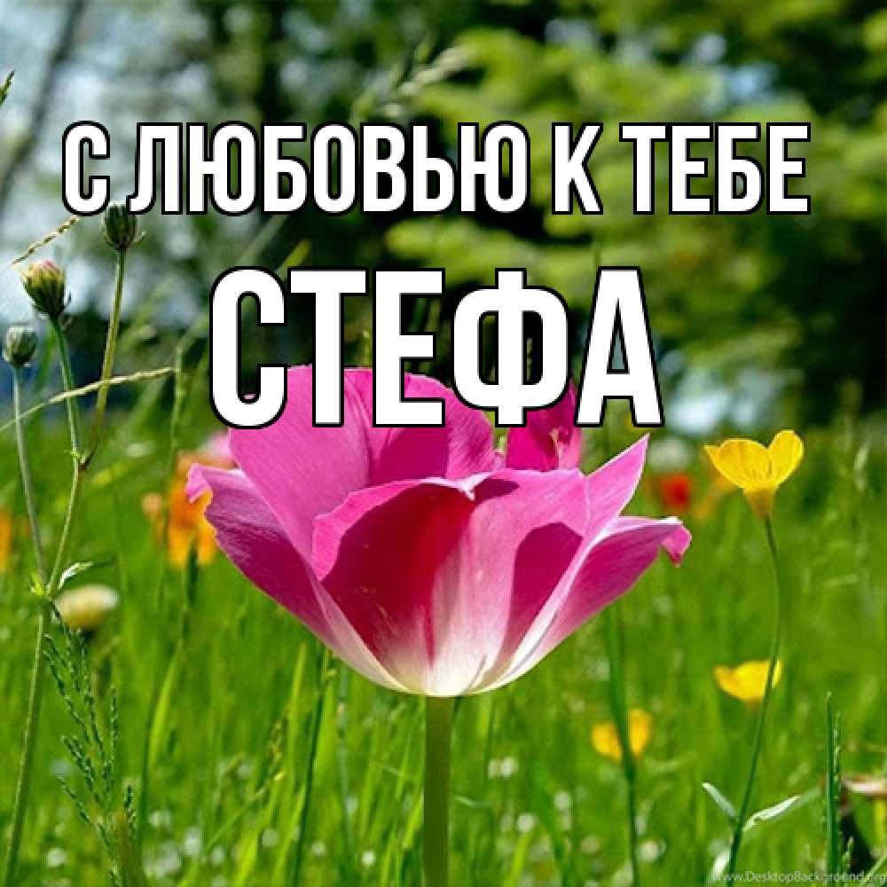 Открытка  с именем. стефа, С любовью к тебе  