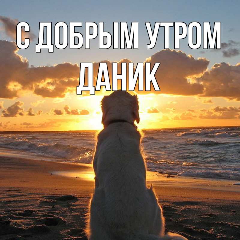 Картинка С добрым утром, Даник