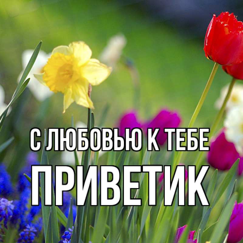 Картинка С любовью к тебе, приветик