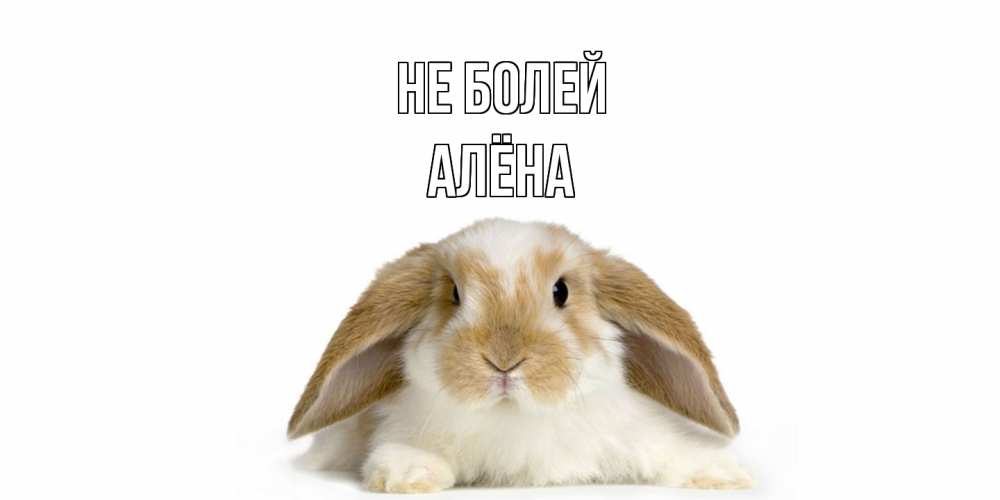 Открытка  с именем. Алёна, Не болей  