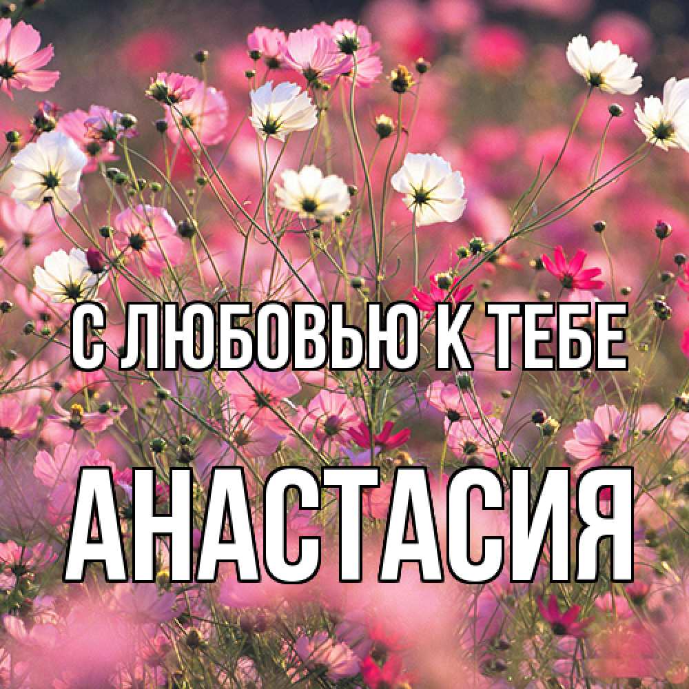 Открытка  с именем. Анастасия, С любовью к тебе  