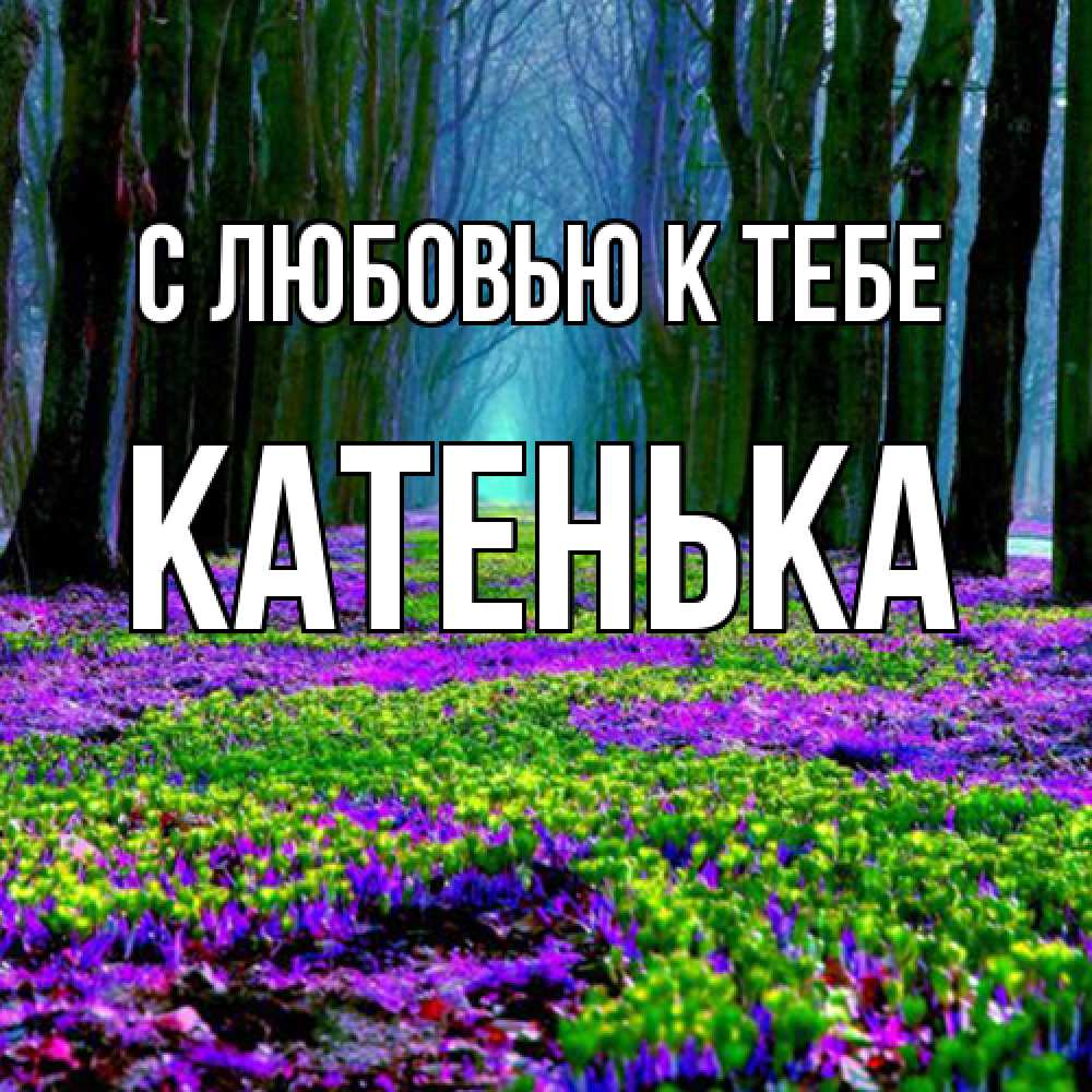Открытка  с именем. Катенька, С любовью к тебе  