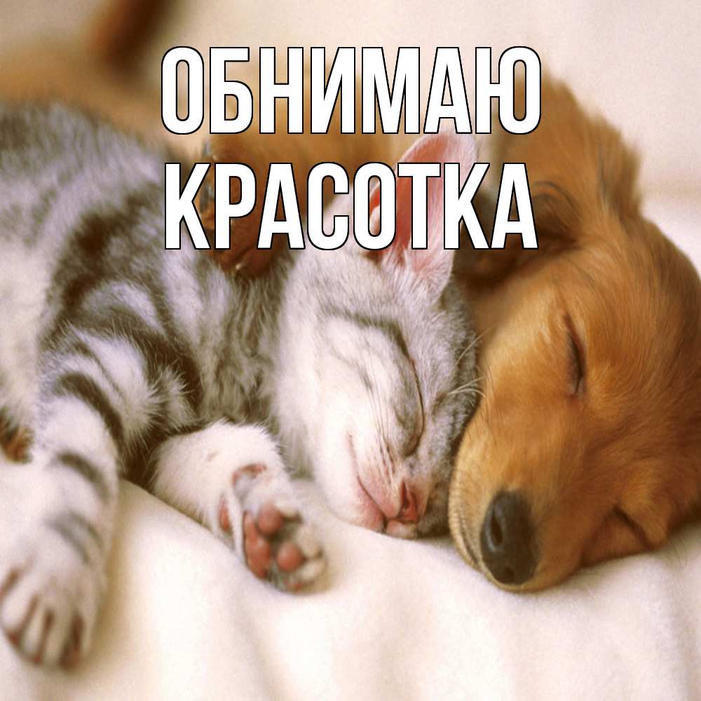 Открытка  с именем. Красотка, Обнимаю  