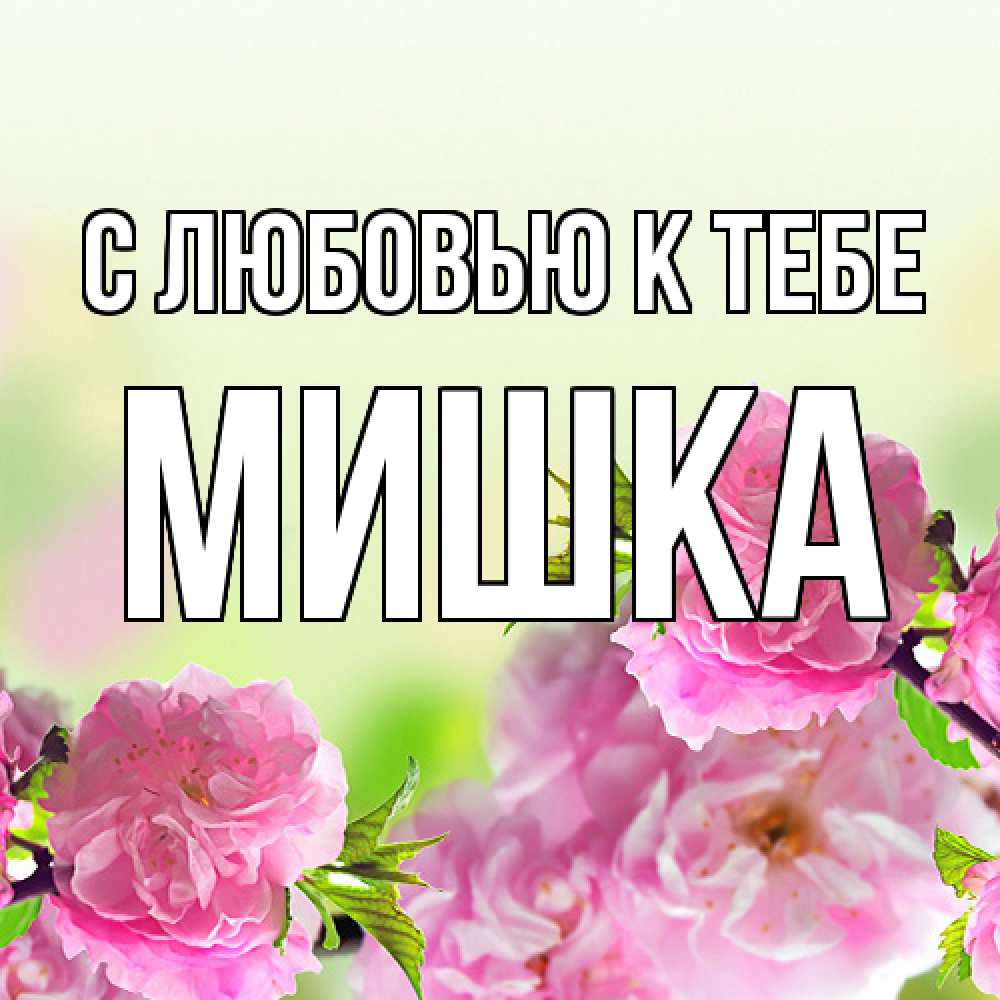 Открытка  с именем. Мишка, С любовью к тебе  