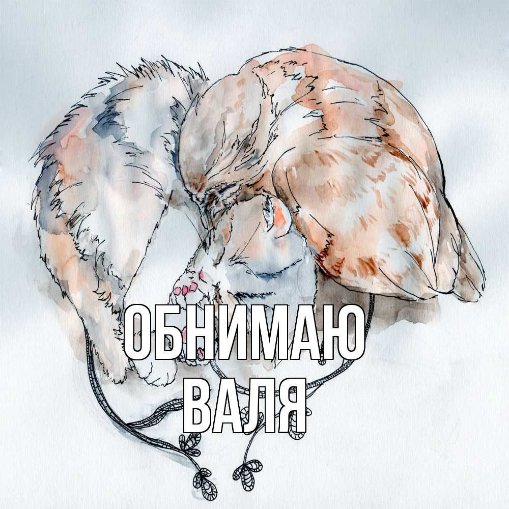 Открытка  с именем. Валя, Обнимаю  