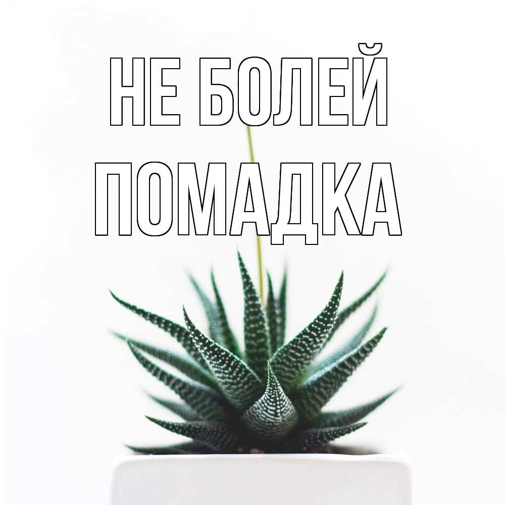 Открытка  с именем. Помадка, Не болей  
