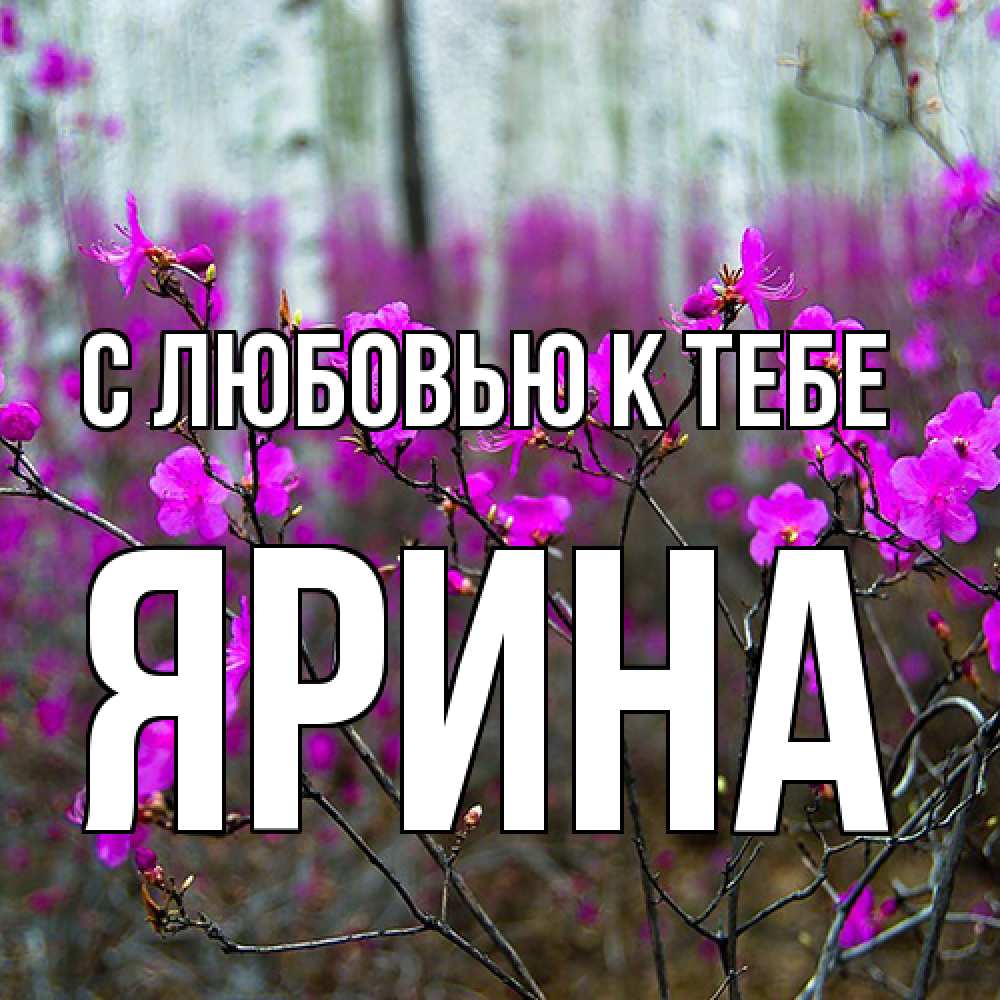 Открытка  с именем. Ярина, С любовью к тебе  