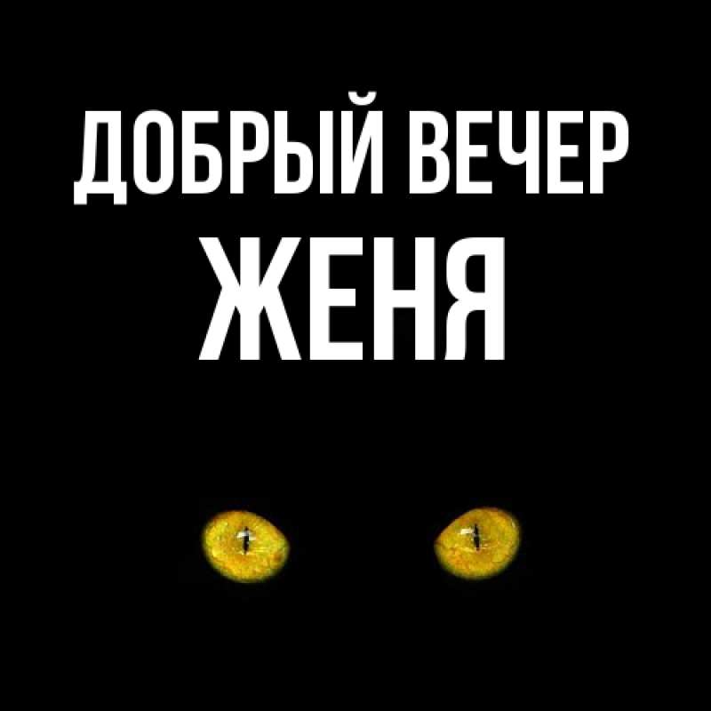 Картинка Добрый вечер, Женя
